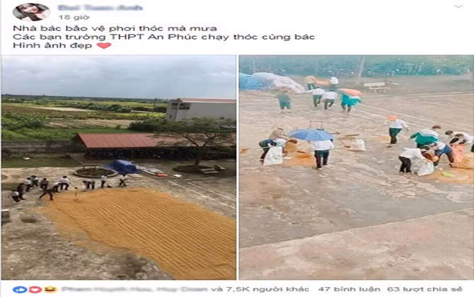 Học sinh đội mưa chạy thóc giúp bác bảo vệ giữa sân trường