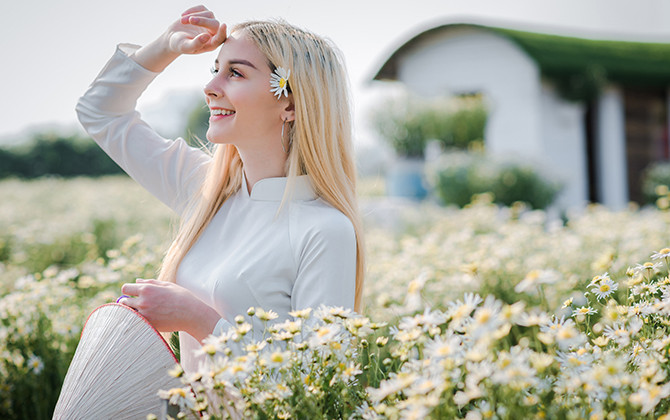 Thảo nguyên hoa đón bạn trẻ nước ngoài ngắm cúc hoạ mi