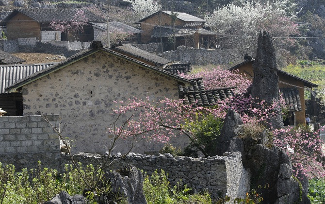 Sắc màu trên cao nguyên đá