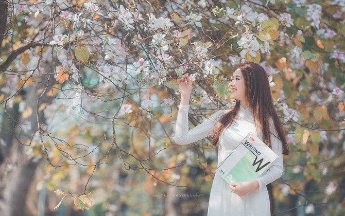 Tháng Hai, hoa ban, Hà Nội