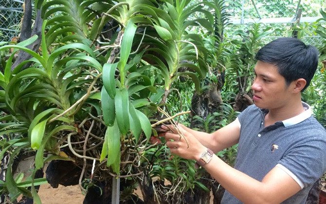 Chàng cử nhân Luật khởi nghiệp với hoa lan