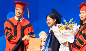 86,5% sinh viên Đại học Phenikaa có việc làm hoặc học tiếp sau tốt nghiệp