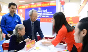 Chủ tịch Trung ương Hội Sinh viên Việt Nam bỏ phiếu tại Hà Nội