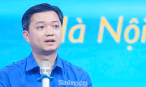 Đề xuất cơ chế kết nối trí thức trẻ Việt Nam toàn cầu