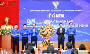 Thanh niên MTTQ, các đoàn thể Trung ương đẩy mạnh chuyển đổi số, khẳng định vai trò xung kích