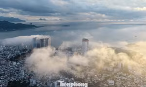 Lý do sương mù dày đặc phủ kín phố biển Nha Trang 