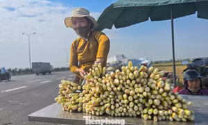 Loại củ được ví như 'lộc trời' mỗi năm chỉ một lần có gì đặc biệt? 