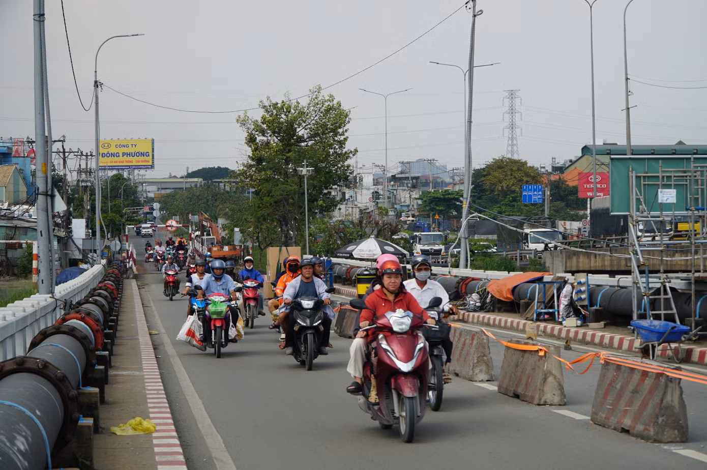 dsc06517.jpg