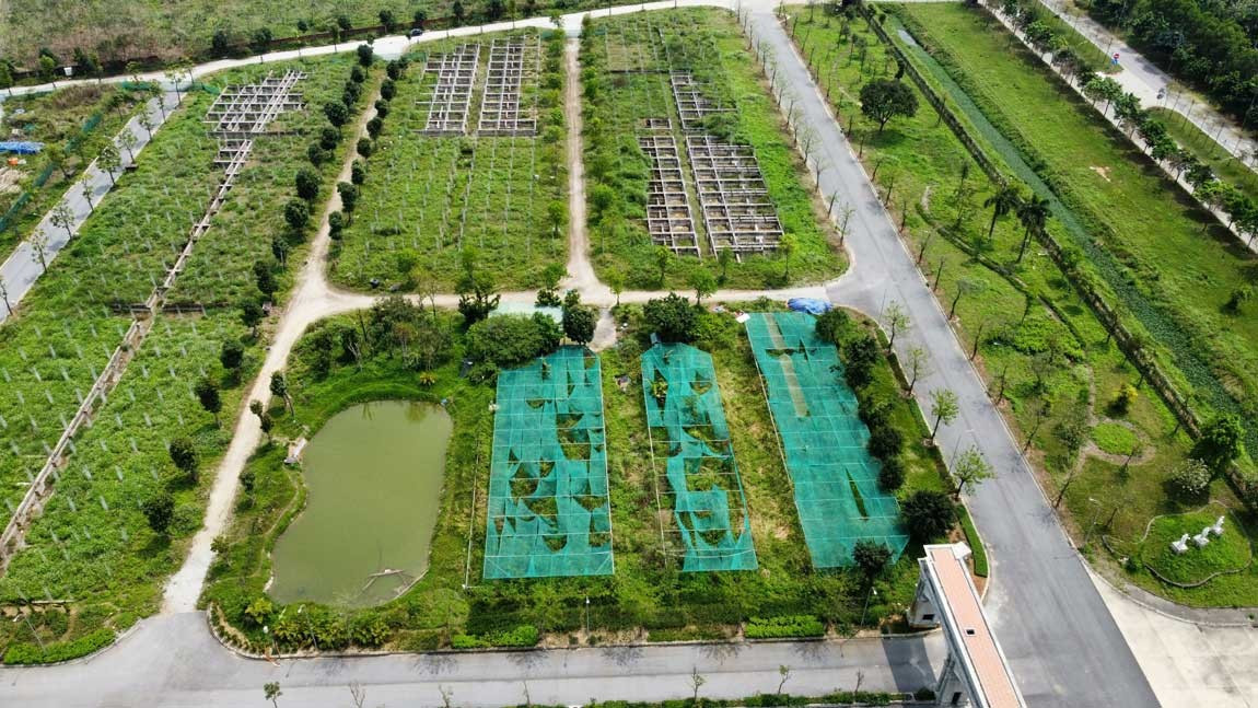 Hà Nội giao hơn 17ha đất để xây nhà liền kề và nhà ở xã hội