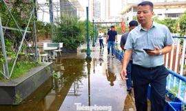 Trường chuyên Amsterdam xuống cấp: Chi ngân sách gần trăm tỉ đồng cải tạo, chưa nghiệm thu đã bong tróc, thấm dột 