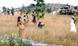 Du khách đổ xô đi cắm trại, check-in ở đồi cỏ phủ màu 'siêu thực' 