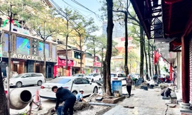 Hà Nội gấp rút cải tạo vỉa hè
