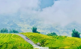 48 giờ săn mây, ngắm lúa, ăn gà ở Y Tý 