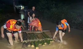 Đưa sản phụ đến bệnh viện an toàn. 