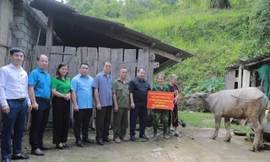 Trao tặng trâu giống cho hộ chính sách có hoàn cảnh khó khăn trên địa bàn tỉnh Lạng Sơn. 