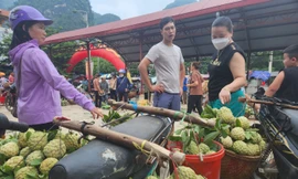 Na Chi Lăng thu hút khách muôn phương. Ảnh: Duy Chiến. 