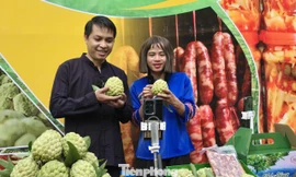 Chủ tịch xã Chi Lăng Vi Thiện Việt (bên trái) thực hiện phiên phiên livestream bán quả na. Ảnh: Duy Chiến. 