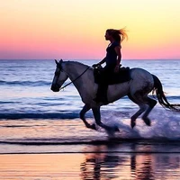 Bốn con giáp cực may mắn trong năm Bính Ngọ 2026