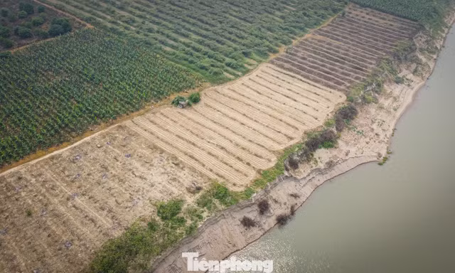  Cận cảnh mỏ cát ở Hà Nội cung ứng vật liệu xây dựng dự án sân bay Gia Bình 