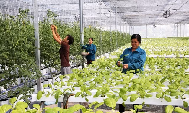Điều kiện để Việt Nam tham gia thị trường carbon quốc tế