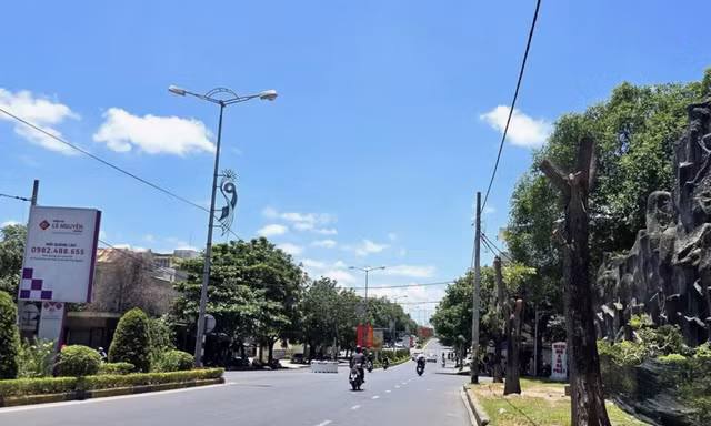 Vì sao đốn hạ, di dời hàng trăm cây xanh trên đường phố ở Quảng Trị?