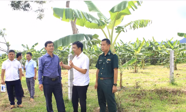 Quảng Trị khẩn trương làm điểm tập kết, di dời chợ chuối Tân Long trong tháng 9
