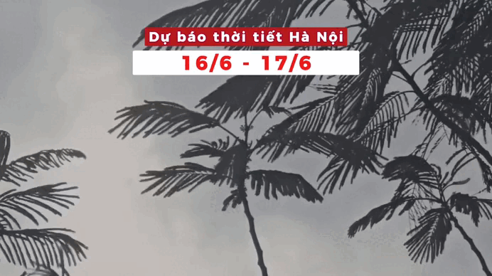 Bản tin Thời tiết Hà Nội (16 -17/6): Mưa dông rải rác, nền nhiệt hạ đáng kể