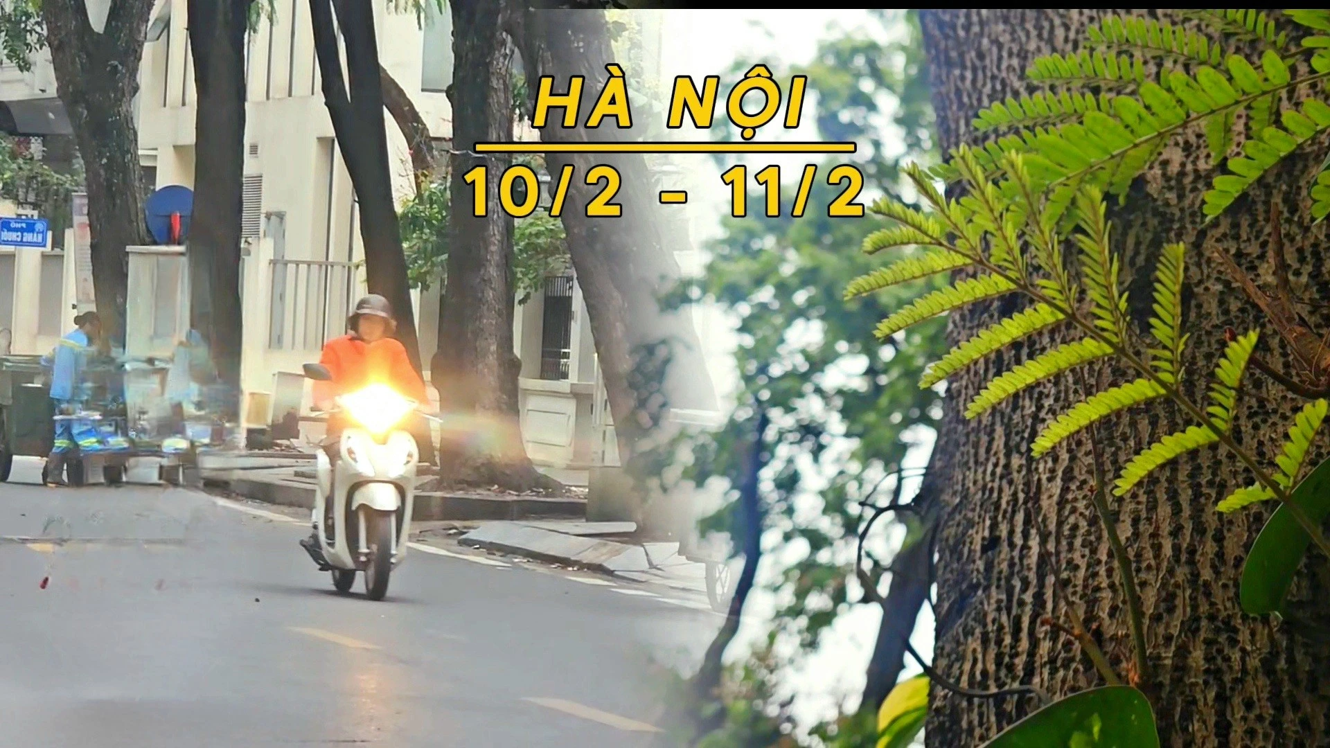 Hà Nội đón đợt rét đậm, nhiệt độ xuống thấp nhất 12 độ C