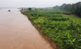 Sạt mái đê sông Thao, Bộ Nông nghiệp và Môi trường gửi công văn khẩn