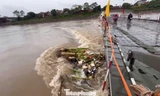 Lũ sông Hồng lên cao, cầu phao Phong Châu dừng hoạt động