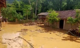 Lũ lớn đổ về sông Mã, di dời khẩn cấp hàng trăm hộ dân ở Sơn La