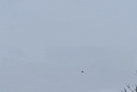 Ukraine công bố video tiêm kích F-16 bắn cháy UAV Nga