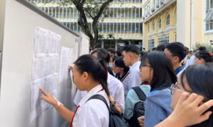 Học sinh dự thi học sinh giỏi lớp 9 cấp thành phố năm học 2024 - 2025