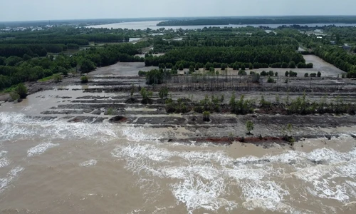 Mỗi năm mất hơn 50m đất ven biển Cà Mau 