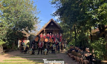 Du khách say với cà phê và 'tiệc' cồng chiêng Ê Đê