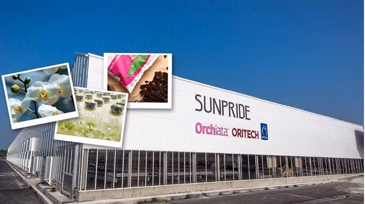 Một góc trang trại hoa lan hồ điệp của SunPride