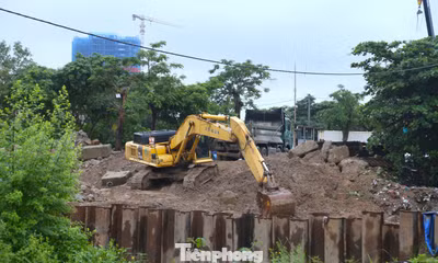 Nỗi lo bên tuyến đê sông Vinh mùa mưa lũ