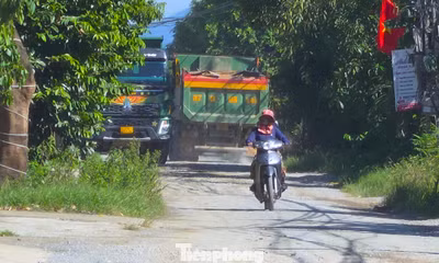 Nghệ An yêu cầu làm rõ tuyến đường 'mưa ngập, nắng bụi', xe tải nối đuôi