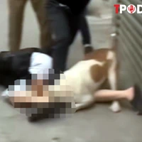 NÓNG 26/12: Nạn nhân kể phút kinh hoàng bị bố con hàng xóm chặn xe, xua chó dữ tấn công