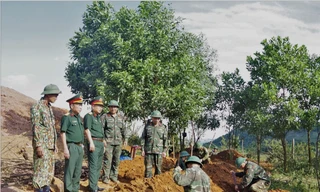 Quy tập 4 hài cốt liệt sĩ ở Khe Sanh