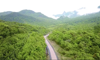 1 triệu tấn carbon được chuyển nhượng theo Thỏa thuận ERPA