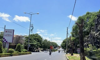 Vì sao đốn hạ, di dời hàng trăm cây xanh trên đường phố ở Quảng Trị?