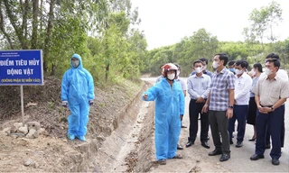  Quảng Trị thiết lập đường dây nóng phòng, chống dịch tả lợn Châu Phi 