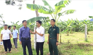 Quảng Trị khẩn trương làm điểm tập kết, di dời chợ chuối Tân Long trong tháng 9