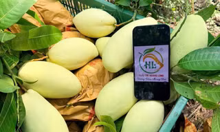 Công ty A&D – Đồng hành cùng nông dân, nâng tầm trái cây Việt