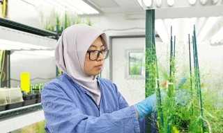 Các nhà khoa học hàng đầu thế giới hiến kế nuôi sống 10 tỷ người tại Tuần lễ Khoa học Công nghệ VinFuture 2025 