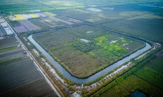 Đồng Tháp Mười – 'thư viện carbon' sống và tuyến du lịch học tập của miền Tây