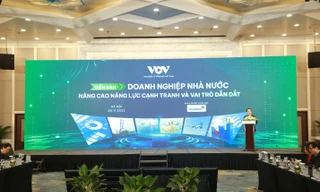 Doanh nghiệp nhà nước phải là 'sếu đầu đàn' dẫn dắt cuộc chơi