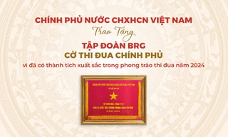 Tập đoàn BRG được trao tặng Cờ Thi đua Chính phủ