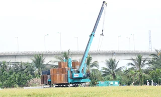 EVNNPT quyết liệt đẩy nhanh tiến độ dự án đường dây 500kV Hải Phòng – Thái Bình